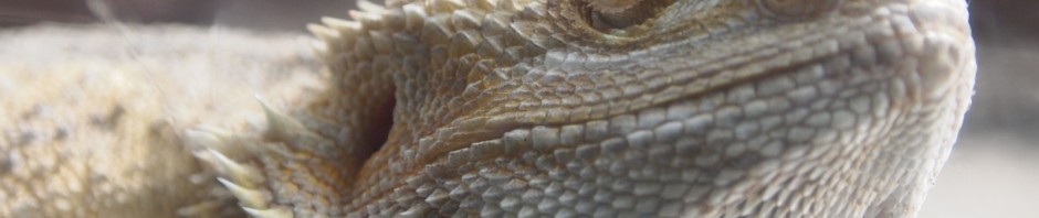 Fische und anderes Getier ...