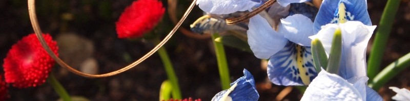 Frühling! Frühling!