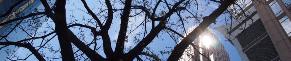 In den weiten Westlanden, jehnseits des Großen Teiches ...