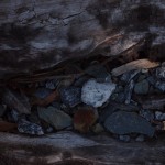 Unterwegs auf Gleisen