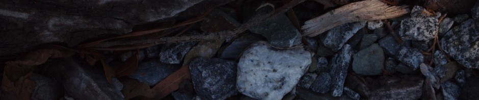 Unterwegs auf Gleisen