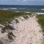 Sommerstreifzüge 2015