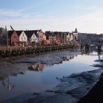 Sommerstreifzüge 2015